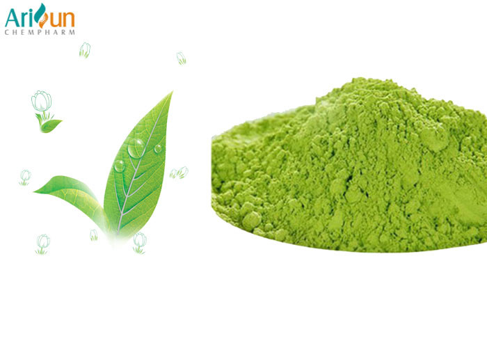  Nutritional Food Additives Matcha Green Tea Powder Anti Aging Immunity Enhancement Manufactures
