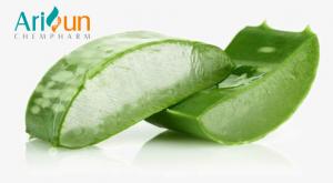  100/1 200/1 Pure Natural Aloe Vera Extract For Anti - Inflammatory Manufactures