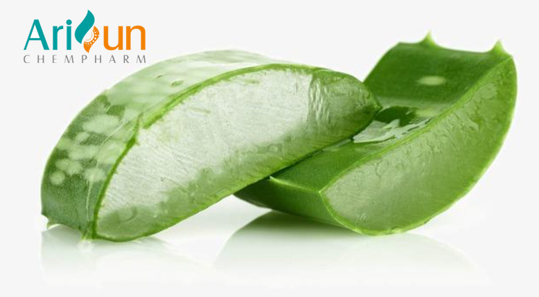  CAS NO 85507-69-3 Aloe Vera Extract For Beauty And Moisturizing Manufactures