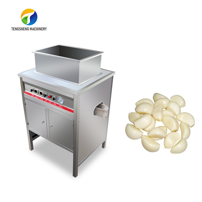 2.2KW Garlic Peeling Machine Industrial Factory Food Processor Manufactures