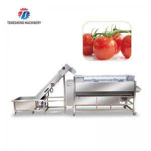  Multifunctional Fruit And Vegetable Processing Line Hoisting Machine Manufactures