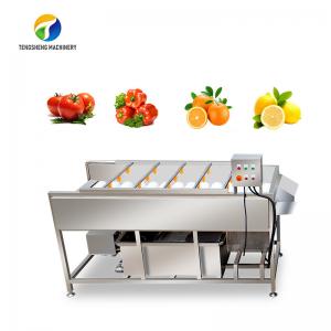  2.5KW Vegetable Parallel Roller Cleaning Machine High Pressure Spray Fruit Washing Machine Manufactures