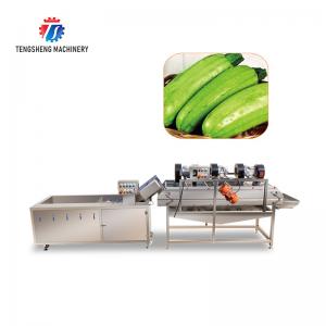 Vegetables and Fruits Bubble Cleaning Vibration Air Drying Machine Production Line Manufactures