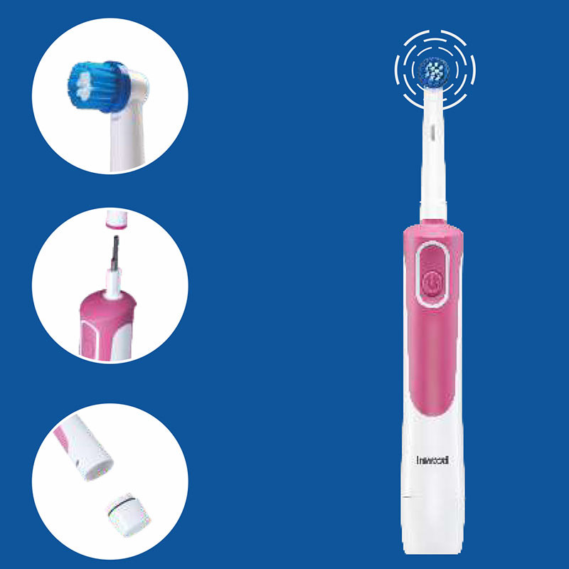  Battery Operated Oscillation Toothbrush 45 ° rotary cleaning portable oral cleaning Manufactures