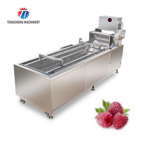  Fruit Bubble High Pressure Spray Washing Machine 1500KG/H Multifunction Manufactures
