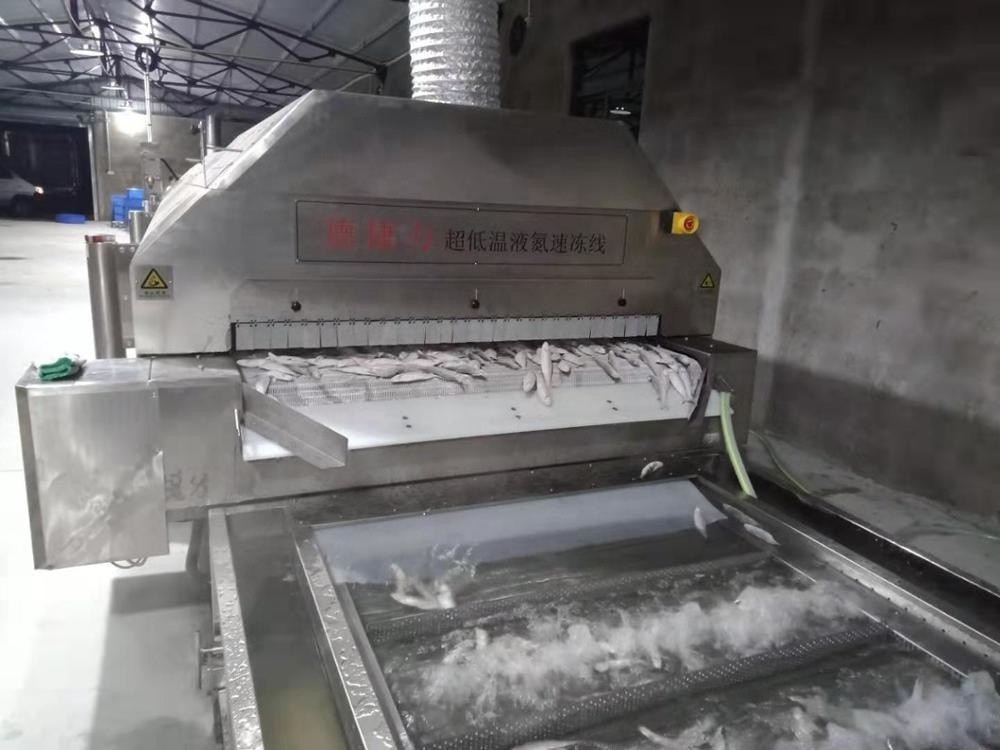  Fast Freeze Chest Quick Freeze Freezer Seafood Meatfish 2800 Kg/H 3500 Kg/H Manufactures