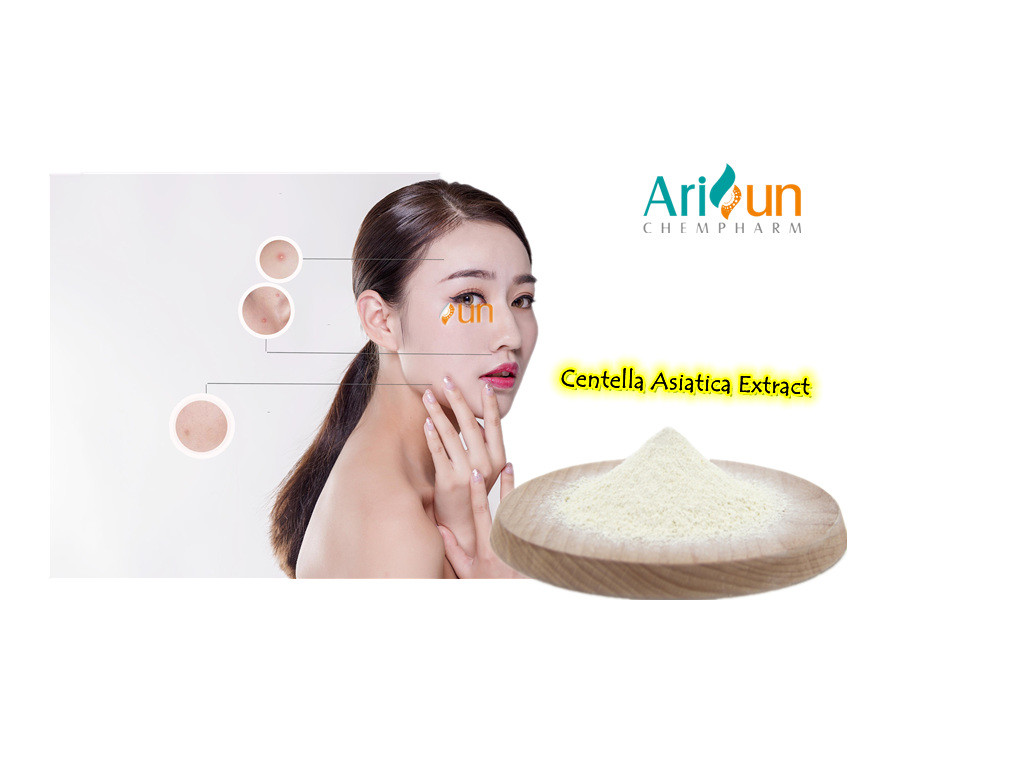  CAS# 84696-21-9 Centella Asiatica Gotu Kola Supplement Eliminate Wrinkles Manufactures