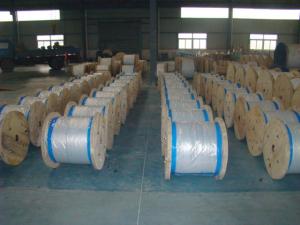  Water Resistance Galvanized Steel Wire Cable , Stranded Steel Wire 100 Kgs-300 Kgs Packing Manufactures