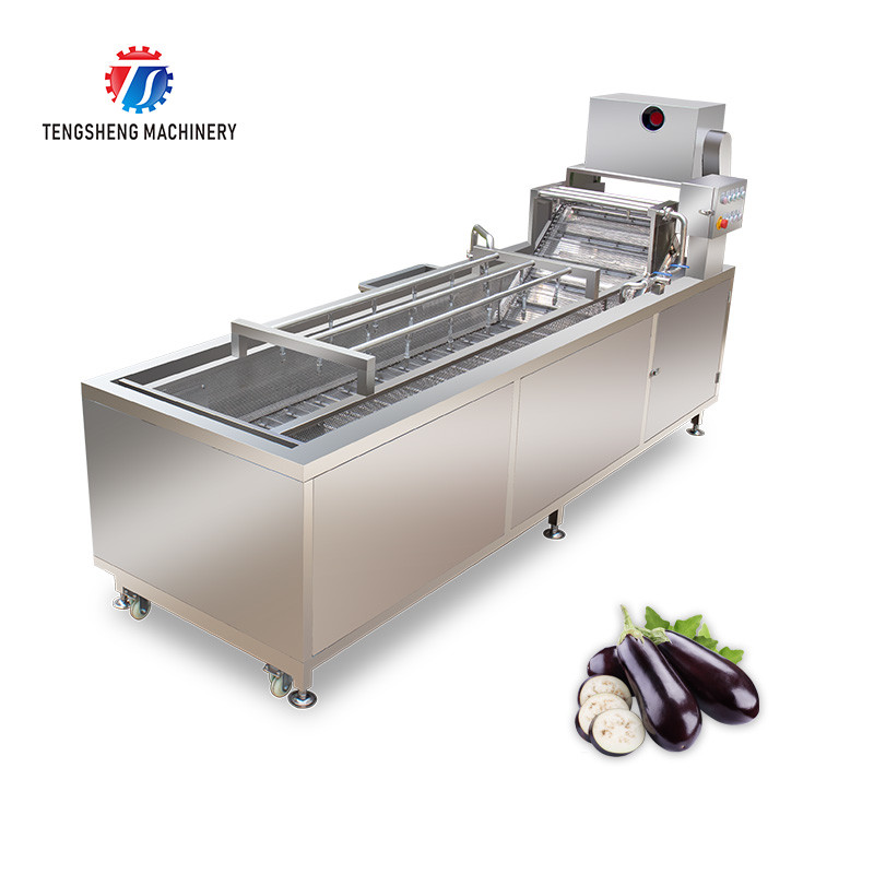  SUS 304 Vegetable And Fruit Washing Machine Orange Cleaning Machine Manufactures