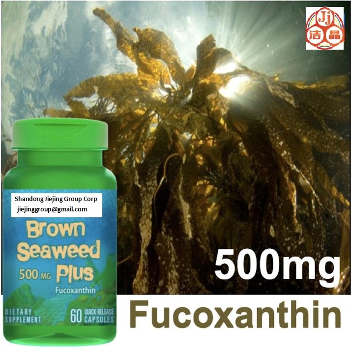 China laminaria japonica seaweed extracts fucoxanthin 1% oil, powder CAS No.3351-86-8 high purity on sale