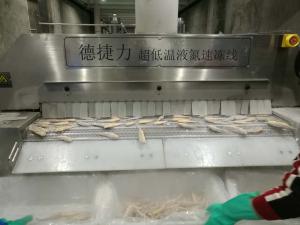  Vegetable Flash Tunnel Blast Freezer Fish Feed Processing Liquid Nitrogen Tunnel Freezer Manufactures