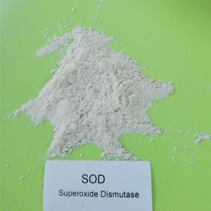  99% White SOD Superoxide Dismutase Powder 500000 iu/g Manufactures