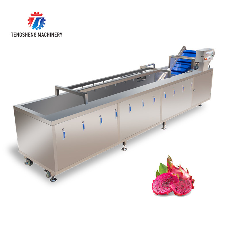  SS Fruit Bubble Washing Machine Commercial Vegetable Cleaning Equipment Manufactures