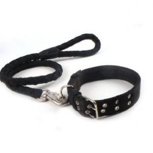  puppy collars martingale collar leather dog collar cat collar dog collars and leads Manufactures