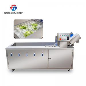  Silvery Lotus Roots Industrial Vegetable Washing Machine , Revolve Bubble Fruit Cleaning Machine Manufactures