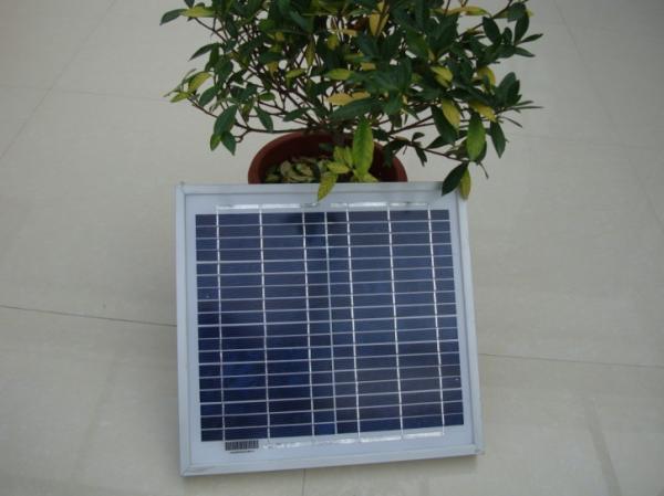 Quality Poly 10w  solar module for sale