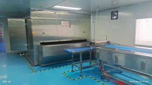  Conveyor Impingement Freezing Tunnel Iqf Freezer 250kg/H 300kg/H Manufactures