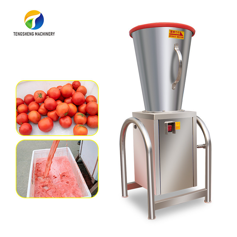  SS Industrial Vegetable Fruit Processing Machine Orange Lemon Juice Extractor Manufactures