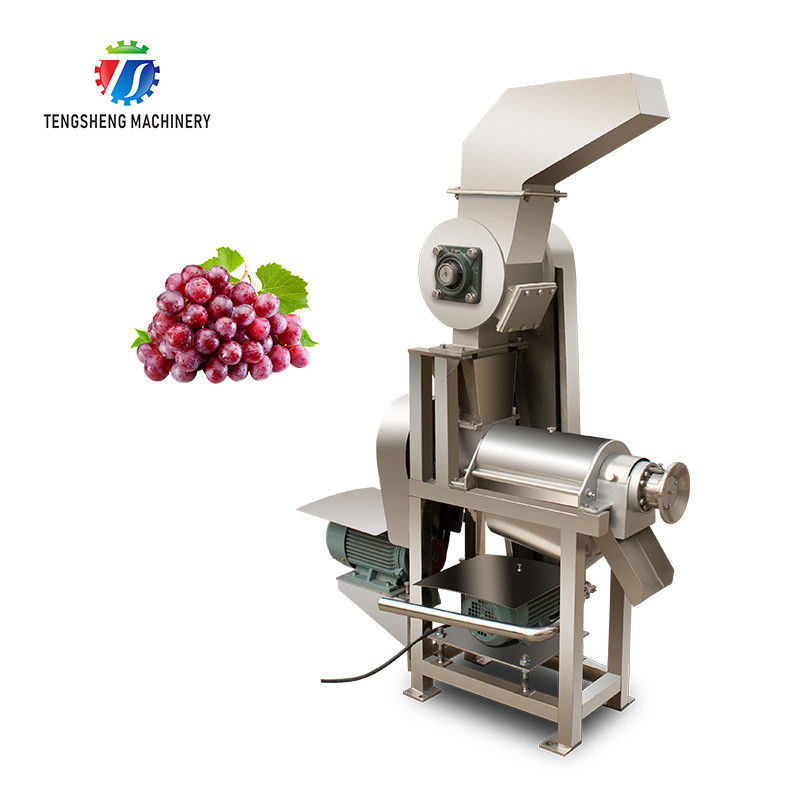  400RPM Electric Blender Juicer Commercial Fruit Vegetables Mixer Manufactures