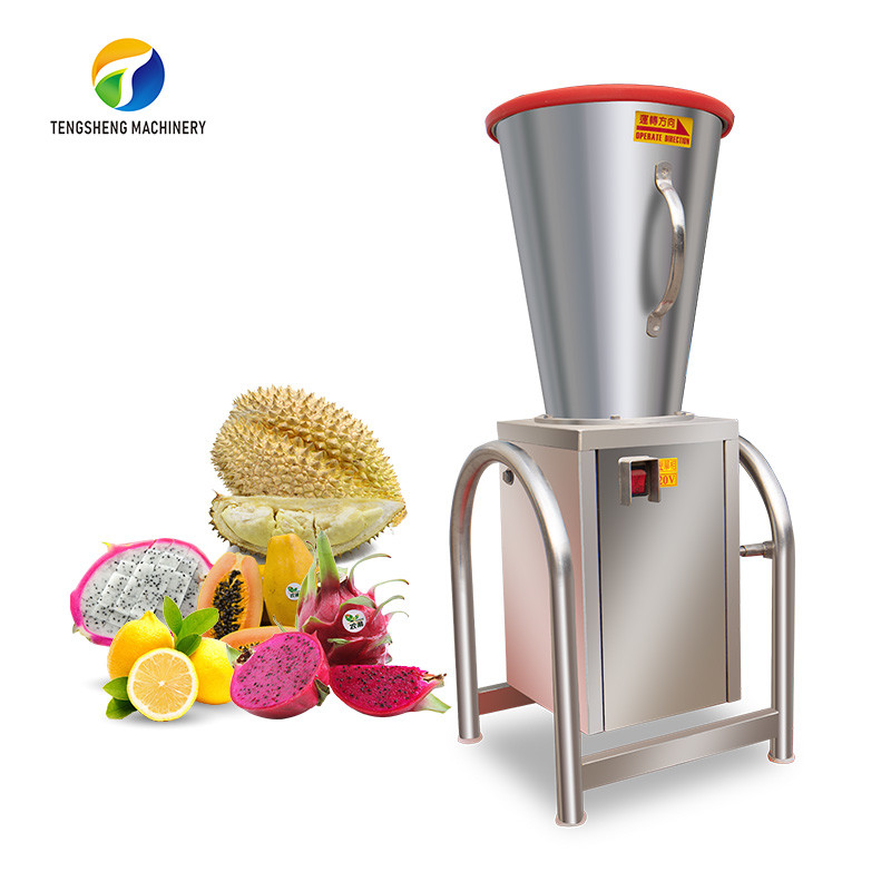 Commercial Fruit Juicer Machine Mango Pitaya Juice Extractor Manufactures