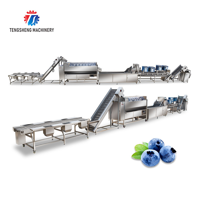  Stainless Steel Fruit And Vegetable Processing Line Potato Picking Hair Roller Bubble Washing Machine Manufactures