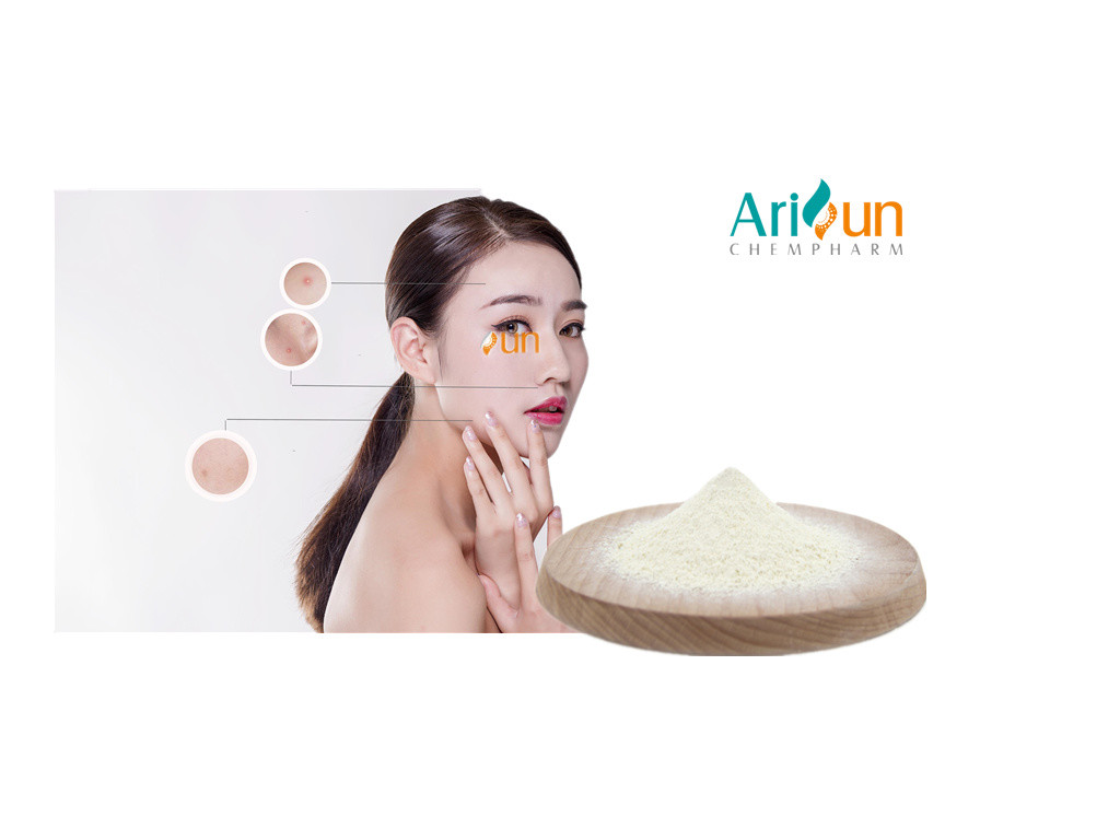 98% Pass 80 Mesh Centella Asiatica Extract For Skin Whole CAS.16830-15-2 Manufactures