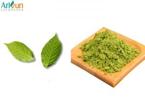  Fresh Spring Tea Leaves Matcha Green Tea Powder With Weight Loss Function Manufactures