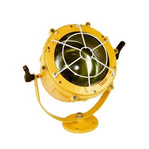  Power 400W 450W Weight 10kg CFT1 Explosion Proof Light Fixture Manufactures
