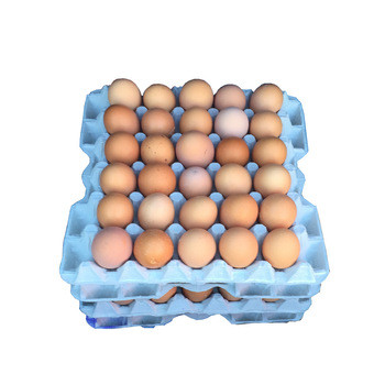  Industry Egg Tray Moulding Machine , Fully Automatic Shoe Support Pulp Tray Machine Manufactures