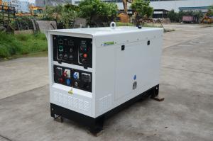  Welding Generator Set with Fawde Engine, MMA, GMAW and TIG Welding Functions Manufactures
