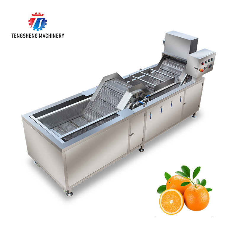  Multifunctional Fruit Washing Machine 3.8KW Vegetable Blanching Equipment Manufactures