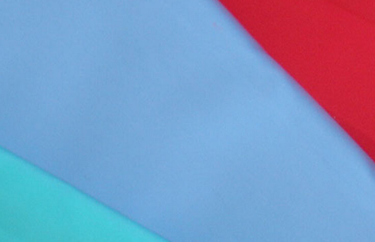  fashion 100% polyester microfiber fabric / polar fleece fabric for glasses cloth Manufactures