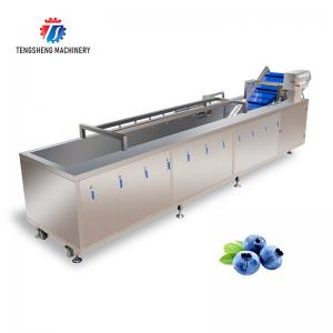  2000KG/H Fruit And Vegetable Washing Machine Bubble Washing Equipment Manufactures