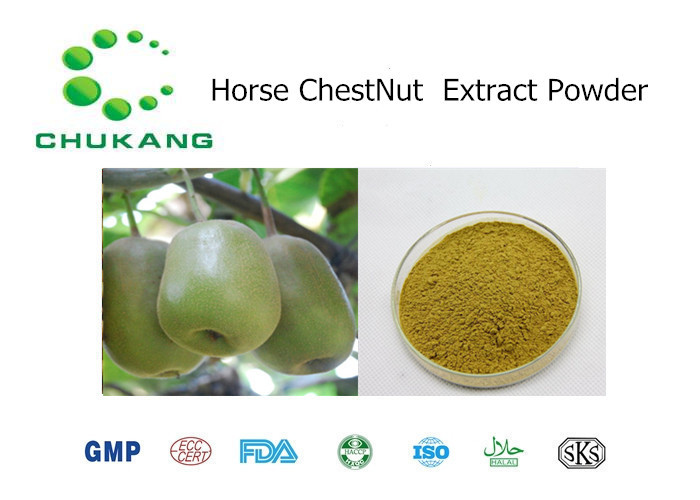  Natural Plant Extract Powder Horse Chest Nut P.E. Horse Chest Nut Extract Natural Herb Powder Manufactures