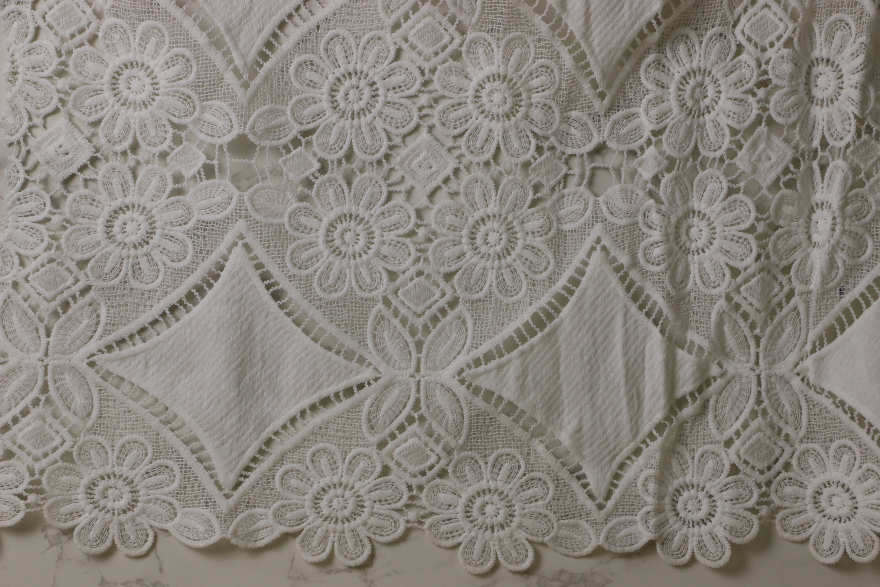  White Embroidered Lace Fabric 120cm Width Ecofriendly Class4 Color Fastness Manufactures