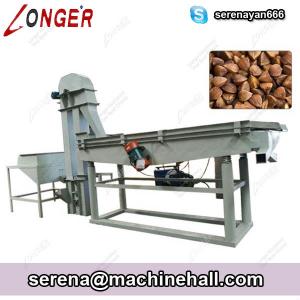  Automatic Pine Nut Dehulling Machine|Buckwheat Hulling Equipment Manufacturers Manufactures