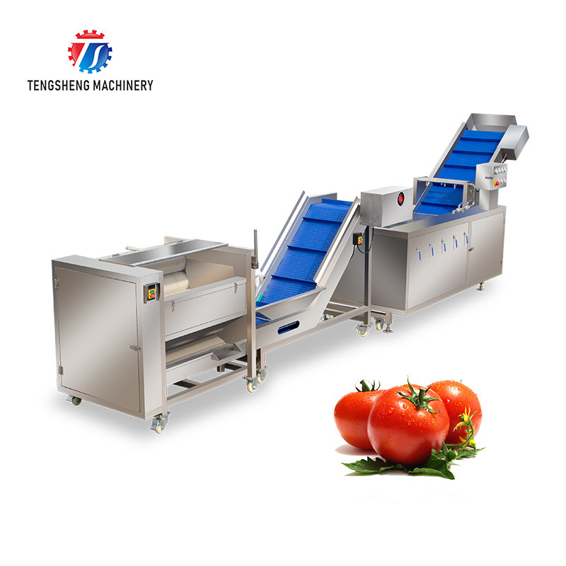  SS Fruit And Vegetable Hair Roller Bubble Cleaning Machine 800KG/H Manufactures