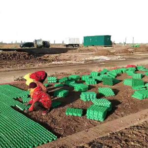  Green Parking and Garden Honeycomb Gravel Grass Paver Manufactured from HDPE Plastic Manufactures
