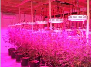  Red/Blue mercury,IR and UV led grow lamp,90w Indoor LED Grow Light(CE&ROHS) Manufactures