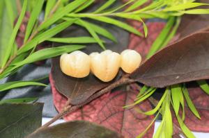China Dental Laboratory Zirconium Oxide Porcelain Zirconia Dental Crown With Ceramic on sale