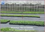 Ground Cover Net Commercial Grade 880 Sq Ft Roll Landscape & Erosion Control