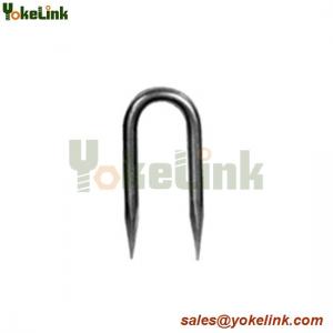 China Hot Dip Galvanized Rolled Point 1/2'' Staple U-nail/ U type nail on sale