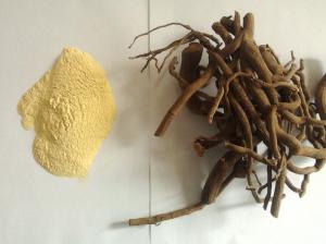  Man sex penis greater herb medecine 30% -70% kava root extract powder Manufactures