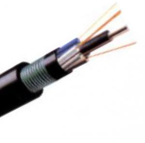 China Armored and Double Sheathed Fiber Optical Cable , outdoor optical fiber cable GYTY53 on sale