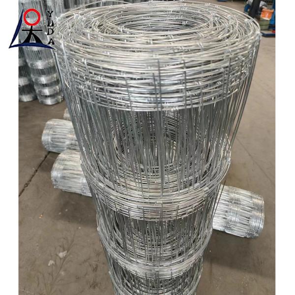 Poultry Galvanized Iron Wire Mesh Hinge Joint Field Goat Horse Field Fence