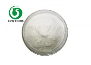  CAS 137-58-6 Amide Local Anesthetic Injection Grade Lidocaine Manufactures