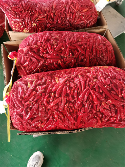Sichuan Red Bullet Chilli Stemless Dried Hot Chili Peppers GMP