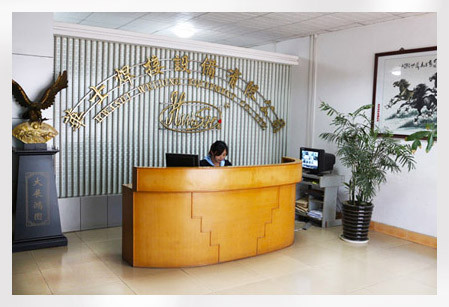 GUANGDONG HWASHI TECHNOLOGY INC.