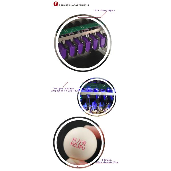 Automatic Printing Equipment for Egg Products With Alignment Function