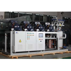 Multi-compressor condensing unit with screw compressors